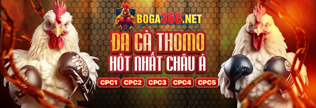 Hình ảnh đại diện cho Chơi Có Trách Nhiệm tại kt88 win