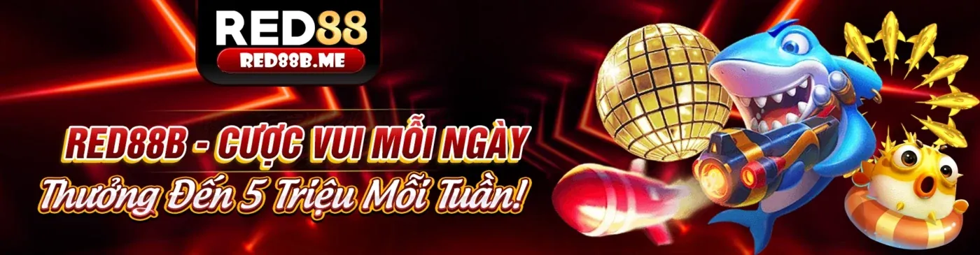 Giao diện ứng dụng kt88 win trên điện thoại thông minh hiển thị cá cược thể thao